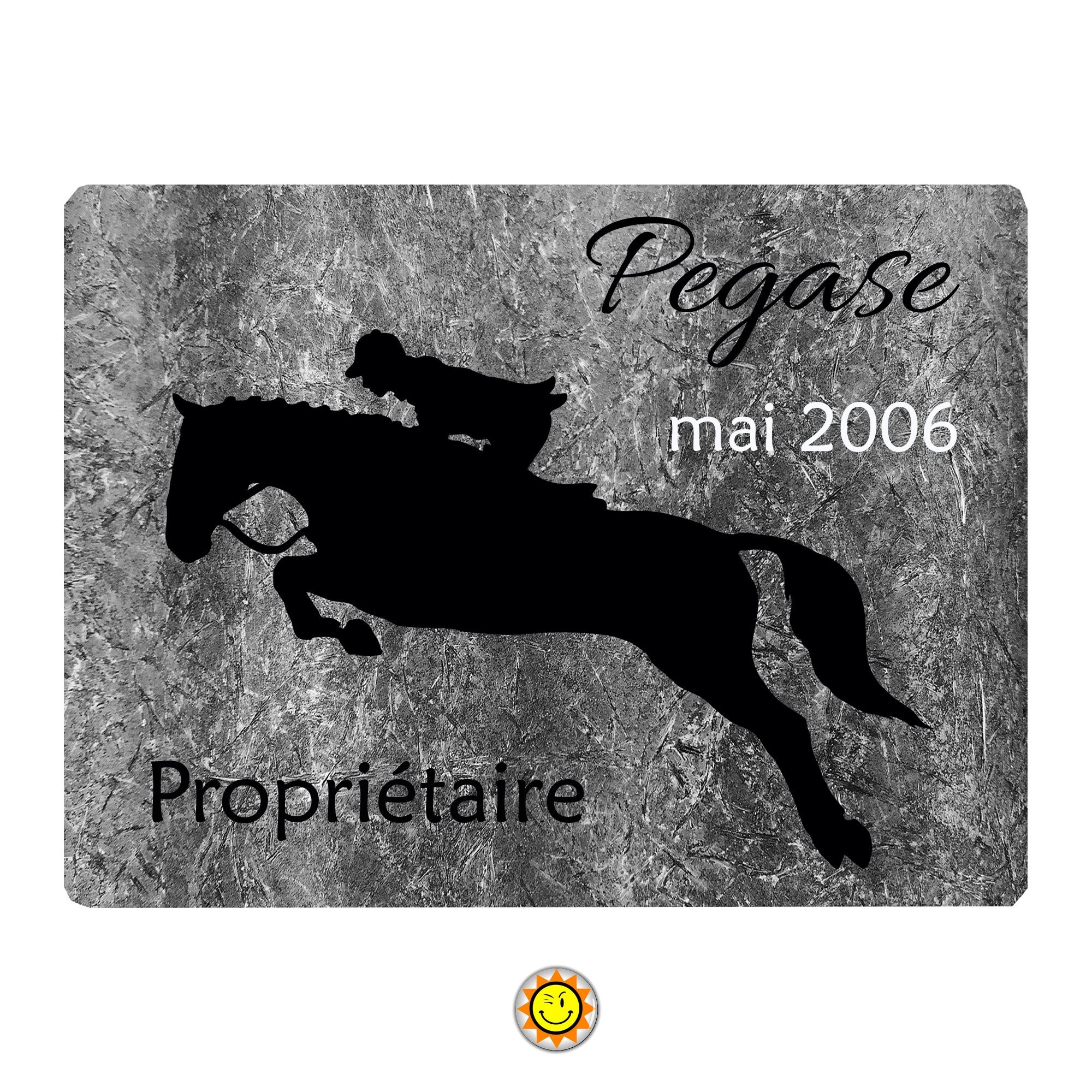 Plaque Box Cheval Nom Écurie Personnalisable 15x20 cm Aluminium
