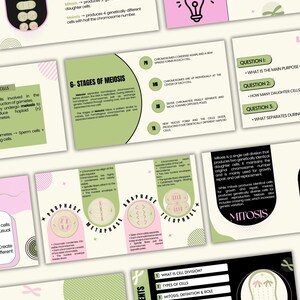 Op de afbeelding: Een verzameling educatieve dia's over celdeling, mitose en meiose. De dia's bevatten diagrammen van celstadia en tekstkoppen zoals 'What is Cell Division?', 'Stages of Meiosis' en 'Mitosis', uitgevoerd in een kleurenpalet van saliegroen, zwart en zachtroze.