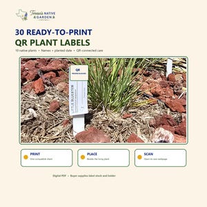 Puede incluir: Un conjunto de PDF digital con 30 etiquetas QR para plantas listas para imprimir de Teresa's Native Garden. Las etiquetas incluyen un código QR, espacio para el nombre de la planta y fecha de plantación. Instrucciones: imprimir, colocar y escanear.