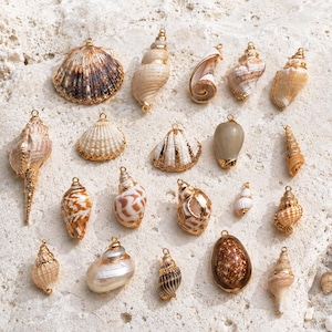May include: A collection of various natural seashells, each fitted with a small gold-toned metal loop at the top for use as a pendant. The shells display diverse shapes, sizes, and textures, featuring natural color patterns in shades of brown, tan, and white.
