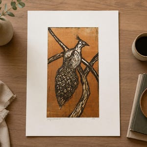 Peacock Sugarlift Etching, Original Signed Bird Print. Hand-Pulled Original Wall Art