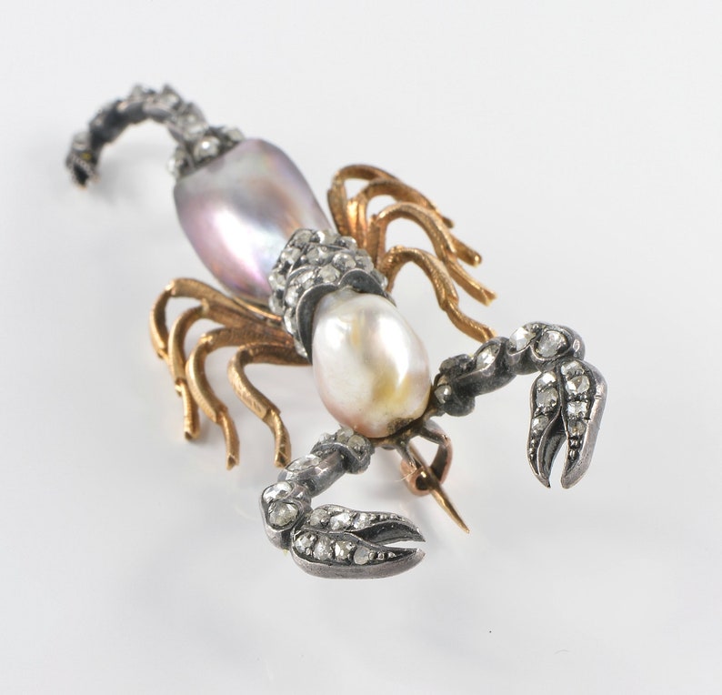 Victorian Abalone Natural Pearl Diamond Rare Scorpion Brooch - Etsy