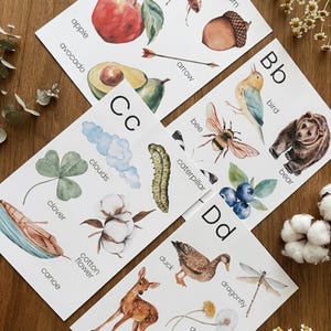 Digitala posters med illustrerade alfabetet i skogsmark | Fonikkort | Läskunnighet | Montessoriklassrum och hemundervisning