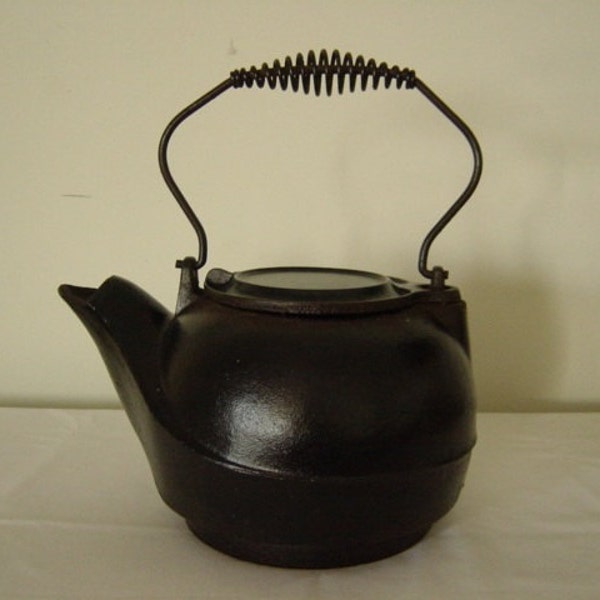 Vintage Bird Beak Tea Kettle
