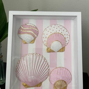 Blush by the Beach Seashell Collection