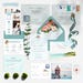 see more listings in the WEDDING INVITATIONS section