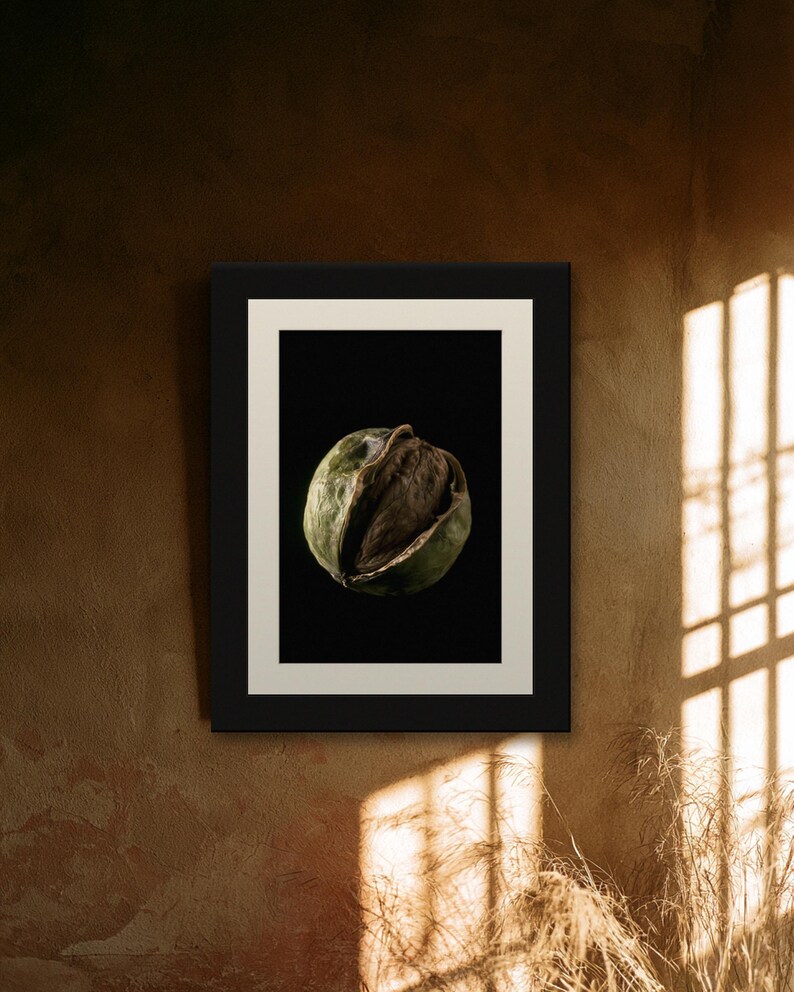 Black Walnut Print, Split Husk Art, Dark Academia Study Art, Olive and Brown Printable image 7