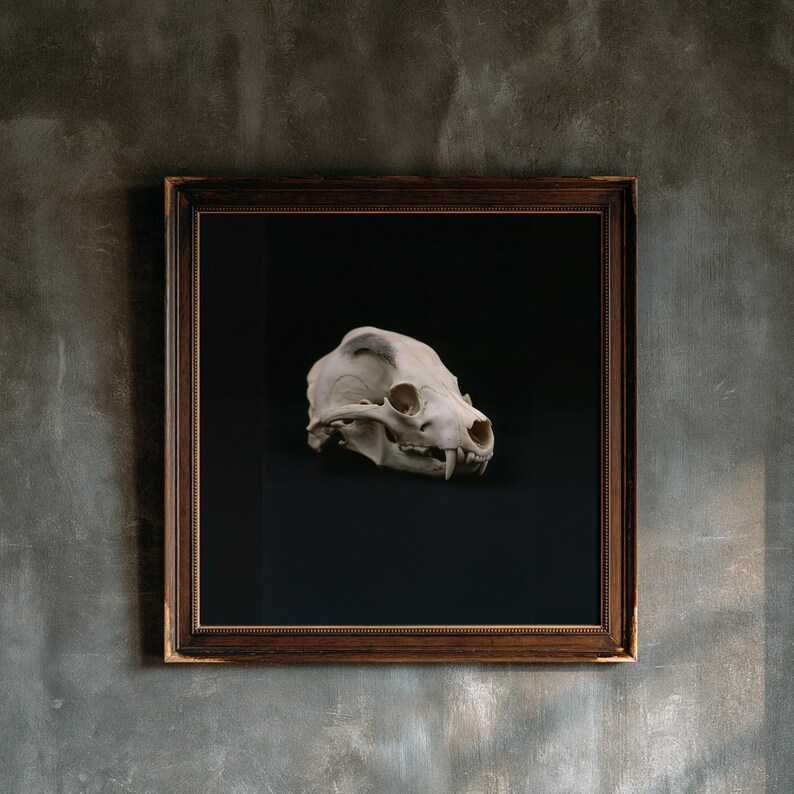 Animal Skull Print, Dark Academia Gothic Decor (Digital Download) image 1