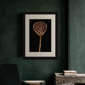 Lotus Seed Pod Print, Dried Botanical Art, Dark Academia Office Art, Copper Brown Printable image 3