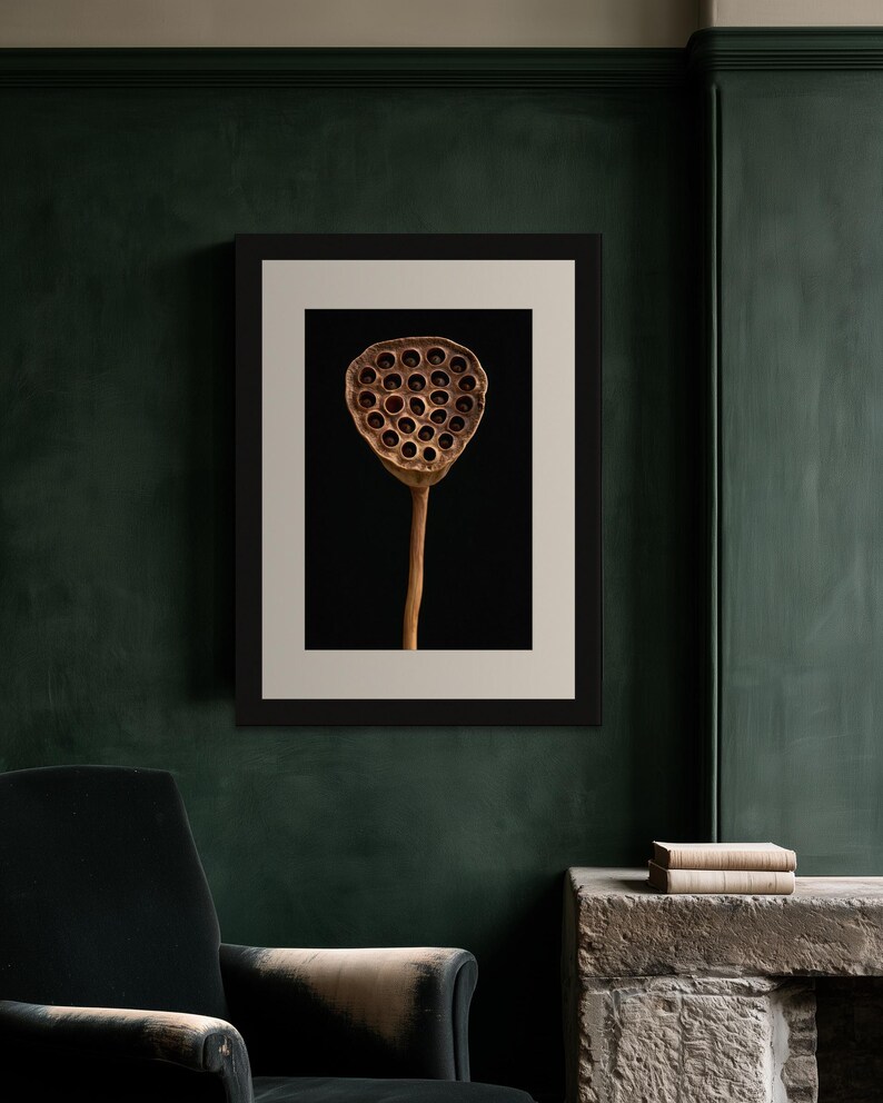 Lotus Seed Pod Print, Dried Botanical Art, Dark Academia Office Art, Copper Brown Printable image 3