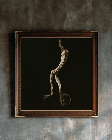 Mandrake Root print from the Duskwood Fell shop