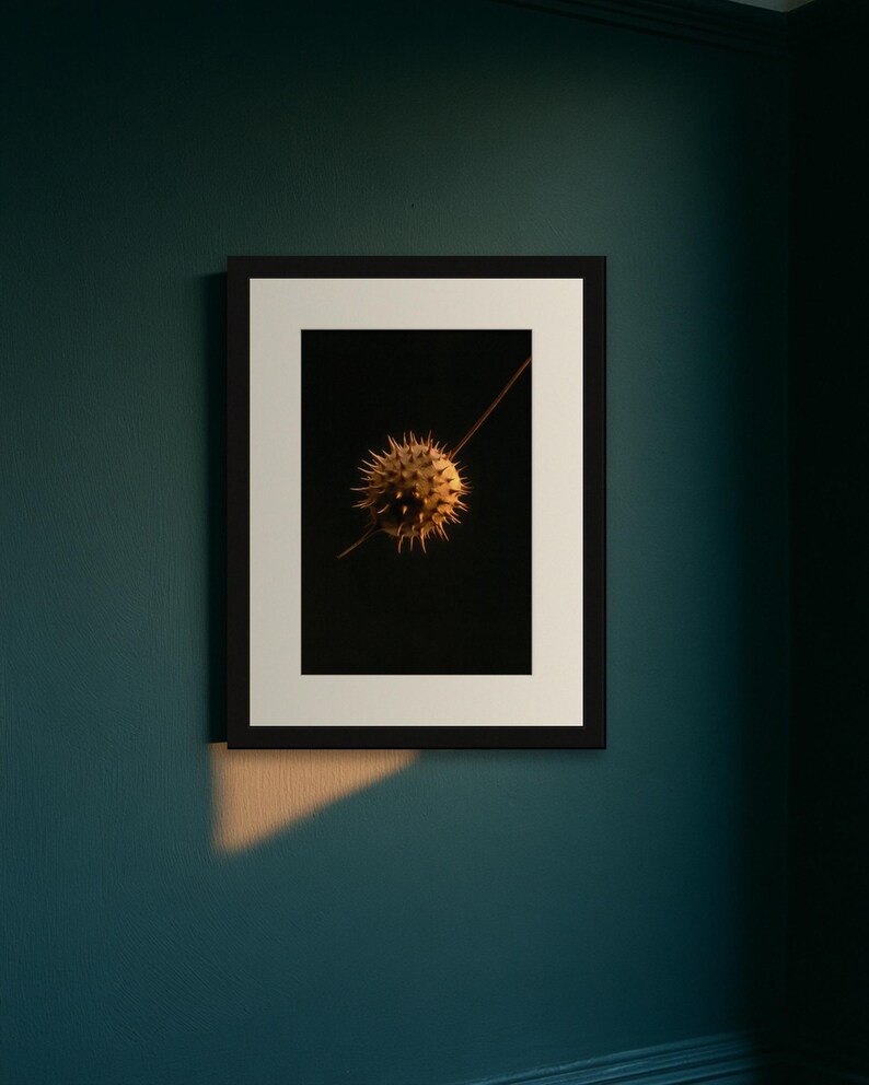 Datura Seed Pod Poison Garden Print, Dark Academia Gothic Wall Art (Digital Download) image 9