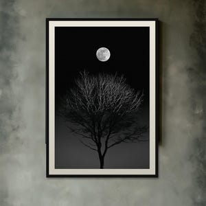 Full Moon Behind Oak Tree Print, Moody Night Sky Wall Art (Digital Download) image 10