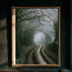 May include: A rectangular wall art print in a medium-toned wooden frame featuring a photograph of a narrow, muddy dirt path winding through a dense, fog-covered forest with bare, frost-covered tree branches arching over the road in a tunnel.