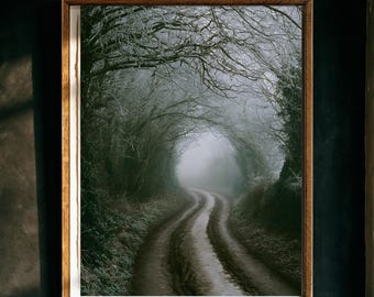 May include: A rectangular wall art print in a medium-toned wooden frame featuring a photograph of a narrow, muddy dirt path winding through a dense, fog-covered forest with bare, frost-covered tree branches arching over the road in a tunnel.