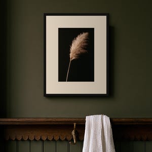 Pampas Grass Herbarium Print, Dark Academia Wall Art, Gothic Cabinet of Curiosities Decor, Digital Download image 8
