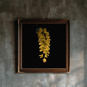 May include: A square wall art piece featuring a cluster of bright yellow laburnum flowers hanging vertically against a solid black background, enclosed within a dark brown wooden frame with a detailed, textured inner border design.