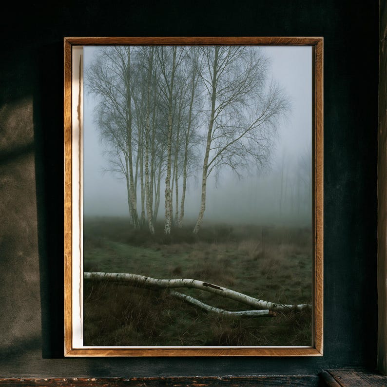 Silver Birch in Fog Print, Fallen Trunk Woodland Art, Misty Winter Bedroom Art image 1