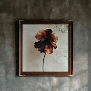 Wine Anemone Print, Dark Academia Wall Art, Gothic Cabinet Decor (Digital Download) image 1