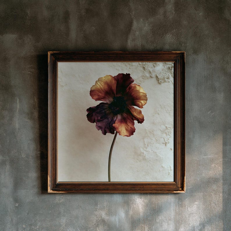 Wine Anemone Print, Dark Academia Wall Art, Gothic Cabinet Decor (Digital Download) image 1