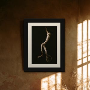Mandrake Root Poison Garden Print, Dark Academia Wall Art, Gothic Cabinet of Curiosities Decor, Digital Download image 9