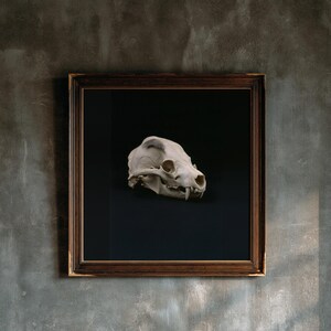 Animal Skull Print, Dark Academia Gothic Decor (Digital Download) image 4