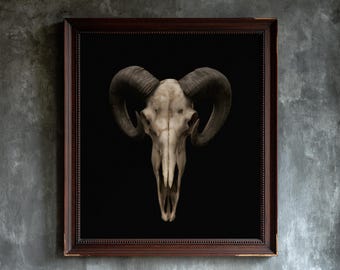 May include: A framed wall art piece featuring a centered, off-white ram skull with large, curved, dark brown horns set against a solid black background. The artwork is enclosed in a dark, rectangular wooden frame with a beaded inner edge detail.