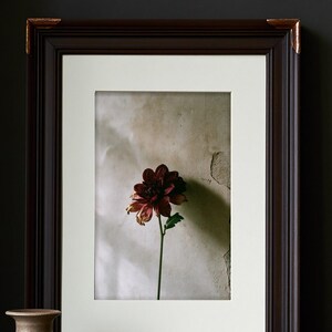 May include: A framed print featuring a single dark red dahlia flower on a thin green stem against a textured beige wall. The frame is dark brown with metallic copper-colored corner accents and includes a wide white mat border around the image.
