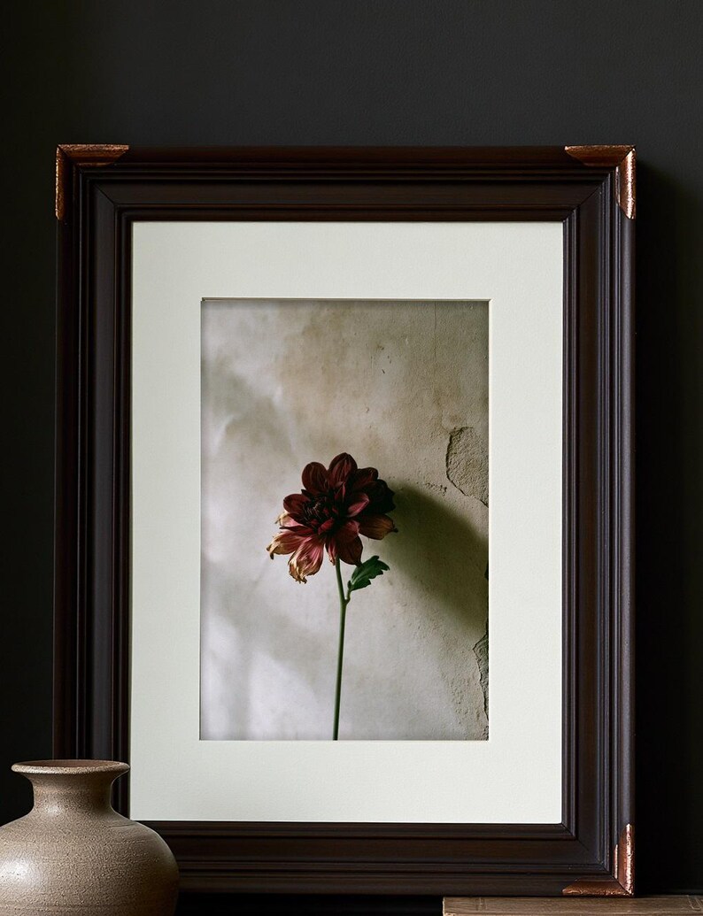 May include: A framed print featuring a single dark red dahlia flower on a thin green stem against a textured beige wall. The frame is dark brown with metallic copper-colored corner accents and includes a wide white mat border around the image.