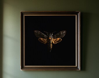 May include: A square framed wall art piece featuring a centered death's-head hawkmoth with dark, patterned wings and a yellow and black striped abdomen. The moth is set against a solid black background within a dark brown frame with gold trim.