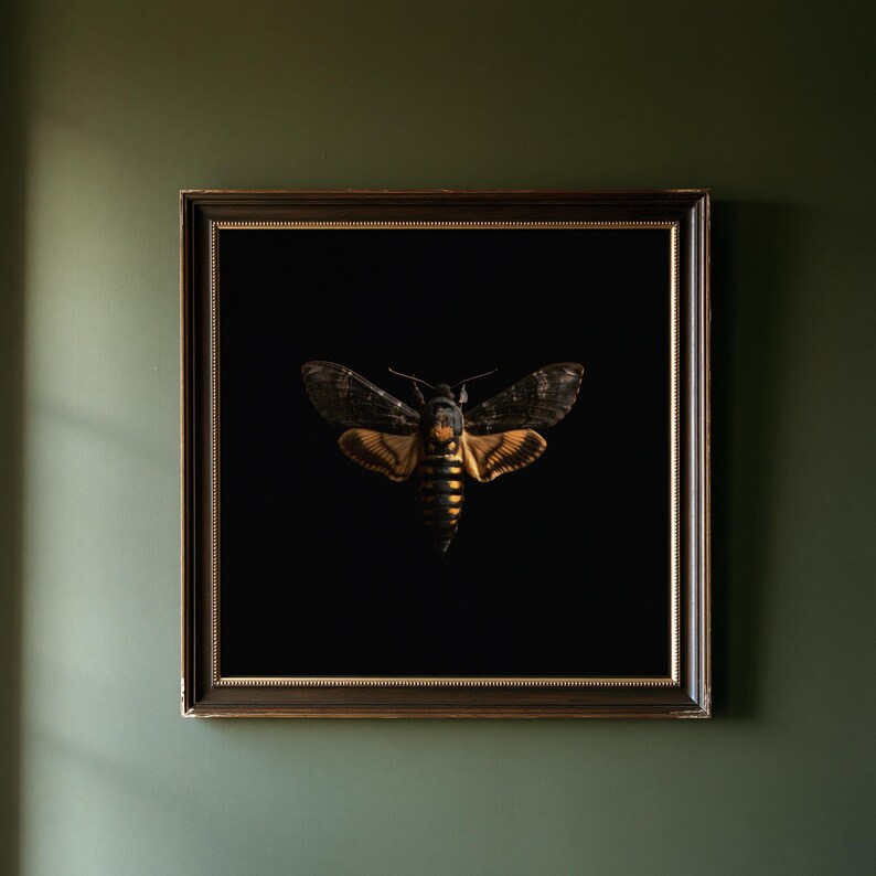 Lámina de polilla calavera, arte mural de estilo Dark Academia, decoración gótica de gabinete de curiosidades, descarga digital. imagen 1