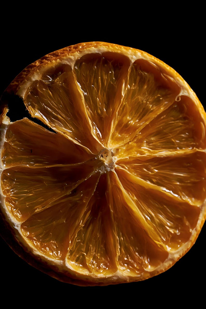 Dried Orange Slice Print, Amber Citrus Art, Dark Kitchen Wall Decor (Digital Download) image 4