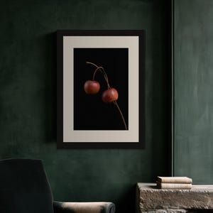 Crab Apples on Branch Herbarium Print, Dark Academia Wall Art (Digital Download) image 8