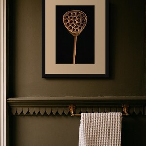 Lotus Seed Pod Print, Dried Botanical Art, Dark Academia Office Art, Copper Brown Printable image 8