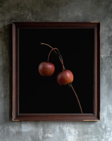 Crab Apples on Branch print from the Duskwood Fell shop