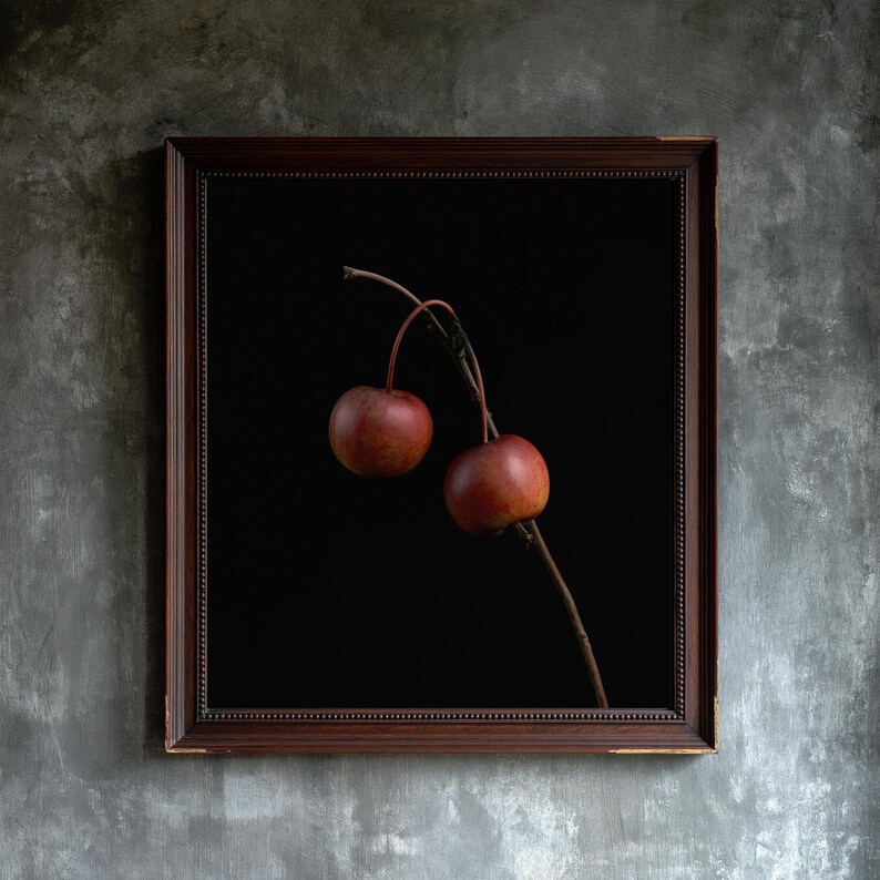 Crab Apples on Branch Herbarium Print, Dark Academia Wall Art (Digital Download) image 1