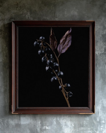 Belladonna print from the Duskwood Fell shop