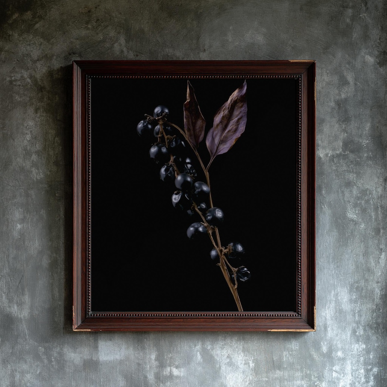 Belladonna Poison Garden Kunstdruck, Dark Academia Wandbild, Dekoration für ein gotisches Kuriositätenkabinett, Digitaler Download Bild 1