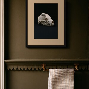 Animal Skull Print, Dark Academia Gothic Decor (Digital Download) image 11