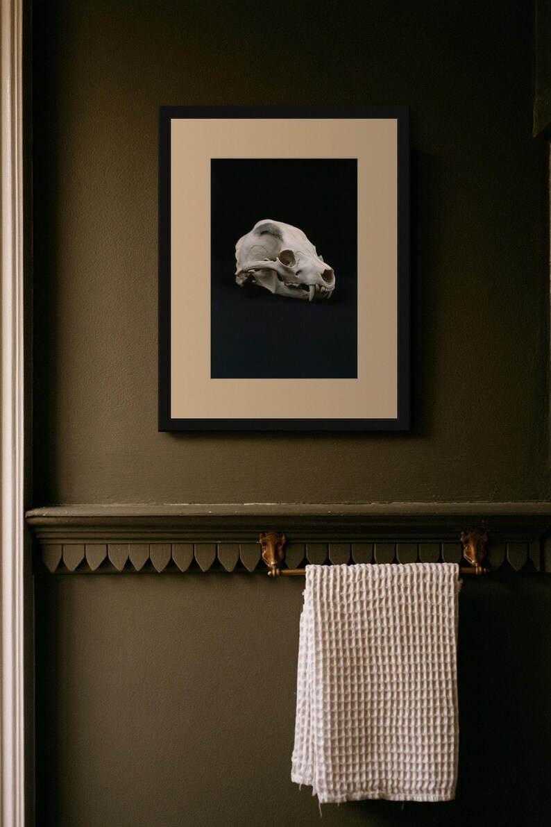Animal Skull Print, Dark Academia Gothic Decor (Digital Download) image 11