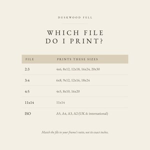 Mandrake Root Poison Garden Print, Dark Academia Wall Art, Gothic Cabinet of Curiosities Decor, Digital Download image 11