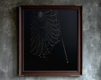 May include: A square wall art piece featuring a detailed spider web against a solid black background. The web is adorned with numerous small, clear water droplets. The artwork is encased in a dark brown wooden frame with a beaded inner edge.