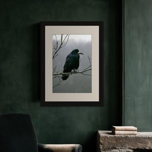 Rook on Ash Branch Print, Gothic Cottagecore Bird Art (Digital Download) image 8