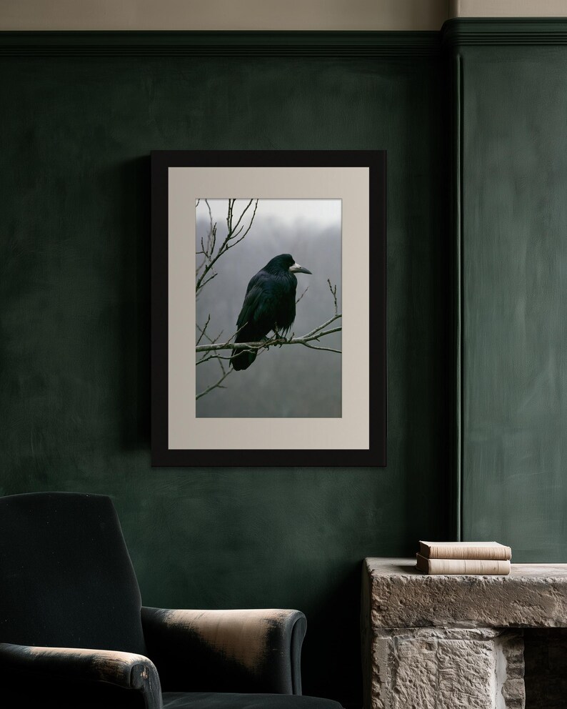 Rook on Ash Branch Print, Gothic Cottagecore Bird Art (Digital Download) image 8