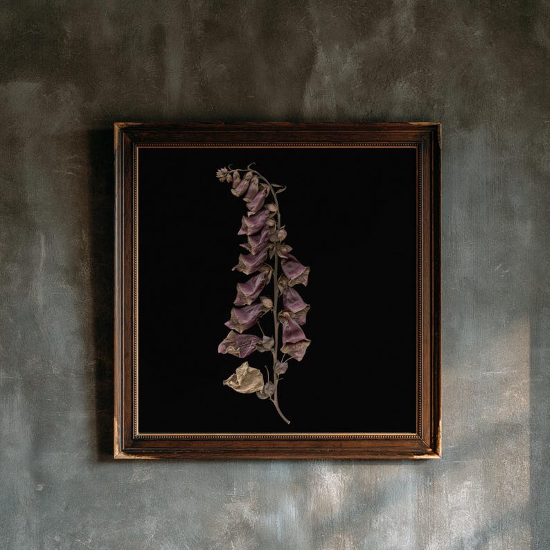 Dried Foxglove Herbarium Print, Dark Academia Wall Art, Gothic Cabinet of Curiosities Decor, Digital Download image 1