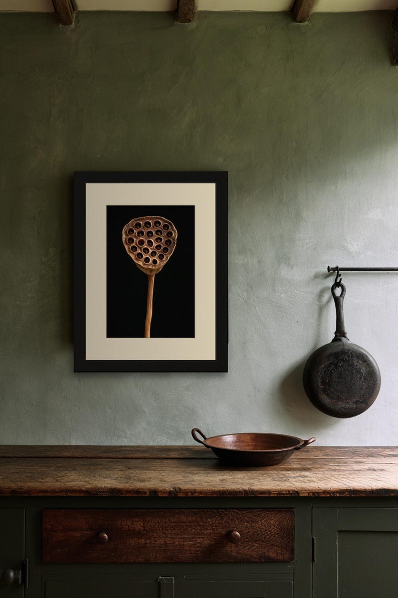 Lotus Seed Pod Print, Dried Botanical Art, Dark Academia Office Art, Copper Brown Printable image 6