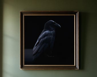 Puede incluir: Una pieza de arte mural cuadrada enmarcada que presenta un retrato de alto contraste de un cuervo negro sobre un fondo negro sólido. El cuervo se muestra de perfil, mirando a la derecha, con sutiles reflejos azulados en sus plumas.