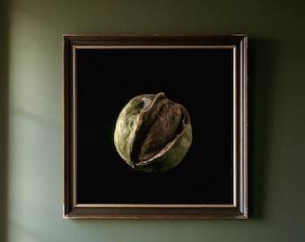May include: A square framed wall art piece featuring a centered, high-contrast photograph of a single walnut partially encased in its green, textured outer husk. The dark brown wooden frame has a thin gold inner border, set against a solid black background.
