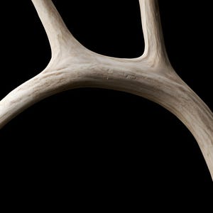 Weathered Antler Print, Dark Academia Wall Art, Gothic Decor (Digital Download) image 4