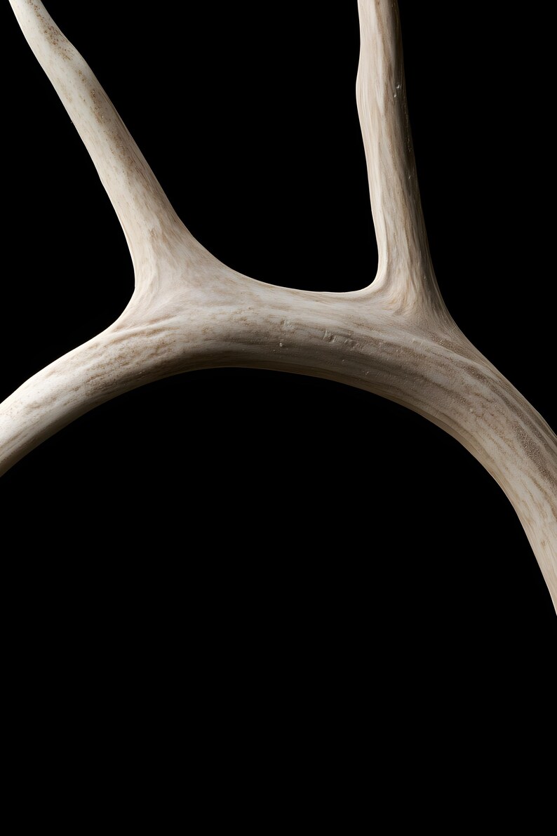 Weathered Antler Print, Dark Academia Wall Art, Gothic Decor (Digital Download) image 4